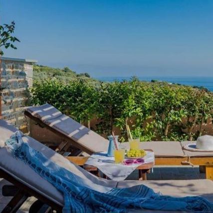 סקופלוס טאון Villa Alegria מראה חיצוני תמונה